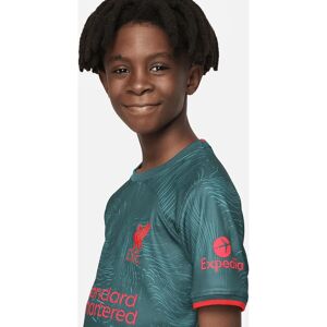 Nike FC Liverpool Shirt Youth 2023 - 3rd Shirt Nike FC Liverpool Shirt Youth 2023 - 3rd Shirt