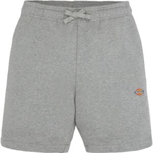 Dickies Mapleton Shorts - Kinder Unisex Grau L Dickies Mapleton Shorts - Kinder Unisex Grau L