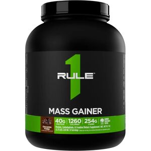 Rule One Mass Gainer - Chocolate Fudge - 2600 grams Rule One Mass Gainer - Chocolate Fudge - 2600 grams