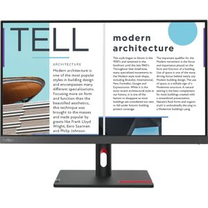 Lenovo ThinkVision S25E-30 Monitor - 24,5 inch Full HD - Grijs Lenovo ThinkVision S25E-30 Monitor - 24,5 inch Full HD - Grijs