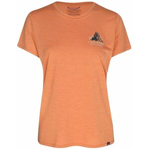 Patagonia Modell 45390 - Technisches T-Shirt für Trail & Wasser Patagonia Modell 45390 - Technisches T-Shirt für Trail & Wasser