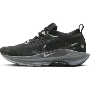 Nike Pegasus Trail 5 Gore-tex Womens Fashion Trainers - Fashion Trainers Nike Pegasus Trail 5 Gore-tex Womens Fashion Trainers - Fashion Trainers