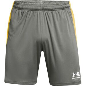 Under Armour Challenger Shorts - Lera - Storlek 44/32 Under Armour Challenger Shorts - Lera - Storlek 44/32