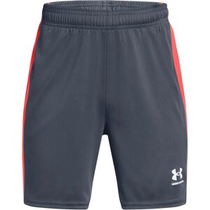 Under Armour Boys Challenger Knit Shorts - Youth Large - Shorts Under Armour Boys Challenger Knit Shorts - Youth Large - Shorts