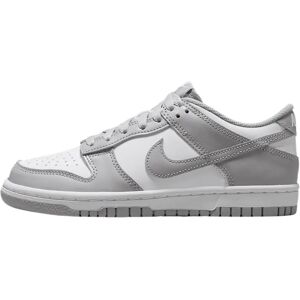 Nike Dunk Low Gray - Sneakers Nike Dunk Low Gray - Sneakers
