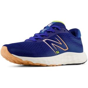 New Balance Womens 520v8 Blue Running Shoes New Balance Womens 520v8 Blue Running Shoes