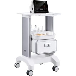 Succebuy 2 Tiers Lab Cart - Mobile Medical Cart with ABS Material Succebuy 2 Tiers Lab Cart - Mobile Medical Cart with ABS Material
