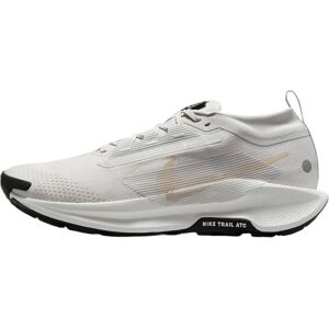 Nike Pegasus Trail 5 GORE-TEX Zapatillas trail hombre - Zapatos de trail Nike Pegasus Trail 5 GORE-TEX Zapatillas trail hombre - Zapatos de trail