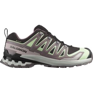 Salomon XA PRO 3D V9 GORE-TEX W - Scarpe da corsa Salomon XA PRO 3D V9 GORE-TEX W - Scarpe da corsa