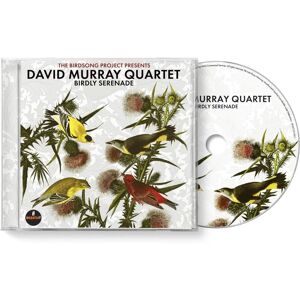 Birdly Serenade - Music Album Birdly Serenade - Music Album