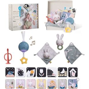 Kit de Sono para Bebês Taf Toys com Música e Cartões Kit de Sono para Bebês Taf Toys com Música e Cartões