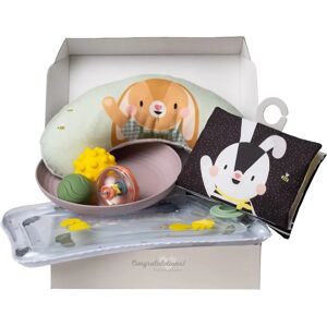 Set de Juego para Bebé en la Barriga - Multicolor - Desarrollo Infantil Set de Juego para Bebé en la Barriga - Multicolor - Desarrollo Infantil