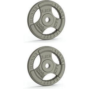 Body Revolution Grey Cast Iron Weight Plates 1" Tri Grip - Weight Plates Body Revolution Grey Cast Iron Weight Plates 1" Tri Grip - Weight Plates