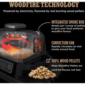 Ninja OG701UK Woodfire Electric BBQ Grill & Smoker - Outdoor, Grey Ninja OG701UK Woodfire Electric BBQ Grill & Smoker - Outdoor, Grey