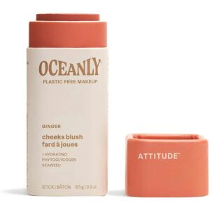 Attitude Oceanly Ginger Cream Blush - Makeup Attitude Oceanly Ginger Cream Blush - Makeup