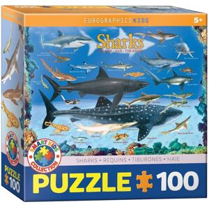 Eurographics Cápa Kirakó 100 Darab - Puzzle Típusa Eurographics Cápa Kirakó 100 Darab - Puzzle Típusa