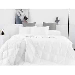 TEX FAMILY - PIUMINO INVERNALE 300 g/m2 - Bianco - Duvet TEX FAMILY - PIUMINO INVERNALE 300 g/m2 - Bianco - Duvet
