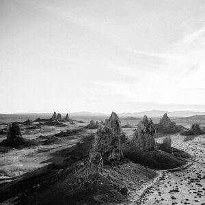 C&D LTO Daear - Music Album - 2021 C&D LTO Daear - Music Album - 2021