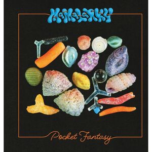 Fire Talk Records Pocket Fantasy - Limited Edition Vinyl Fire Talk Records Pocket Fantasy - Limited Edition Vinyl