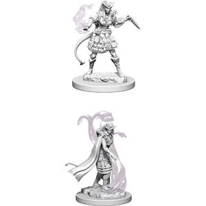 WizKids D&D Sorcier Tiefling - Miniatures à peindre - Publicité WizKids D&D Sorcier Tiefling - Miniatures à peindre - Publicité