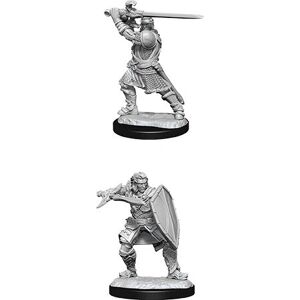 WizKids - Nolzur's Marvelous Miniatures - Human Paladin - Miniature - Publicité WizKids - Nolzur's Marvelous Miniatures - Human Paladin - Miniature - Publicité