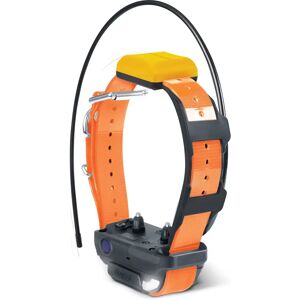 Collier GPS et récepteur Dogtra Pathfinder 2 - Orange - Publicité Collier GPS et récepteur Dogtra Pathfinder 2 - Orange - Publicité