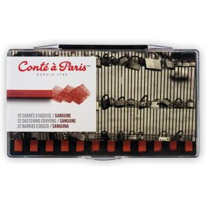 Ensemble de 12 pastels sanguins - Fournitures artistiques Ensemble de 12 pastels sanguins - Fournitures artistiques