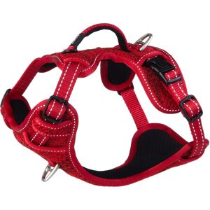 Rogz Rogz Explore Sjx14 Harnais en Nylon pour Chiens - Harnais pour Chiens - Publicité Rogz Rogz Explore Sjx14 Harnais en Nylon pour Chiens - Harnais pour Chiens - Publicité