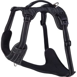 Harnais pour chiens noir Rogz Explore XL en nylon - Harnais pour chiens - Publicité Harnais pour chiens noir Rogz Explore XL en nylon - Harnais pour chiens - Publicité