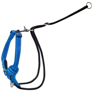 Rogz Marque Modèle Spsj05 Harnais Chiens Bleu XL - Harnais pour chiens - Publicité Rogz Marque Modèle Spsj05 Harnais Chiens Bleu XL - Harnais pour chiens - Publicité