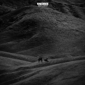 NxWorries - Why Lawd? Hnědá W LP Indie Exkluziv - Vinylové Album NxWorries - Why Lawd? Hnědá W LP Indie Exkluziv - Vinylové Album