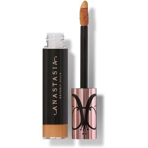 Anticerne Anastasia Beverly Hills Teinte 19 Anticerne Anastasia Beverly Hills Teinte 19