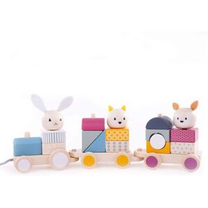 Bigjigs Toys Activity Pull Along Train - FSC 100% Unisex Bigjigs Toys Activity Pull Along Train - FSC 100% Unisex