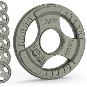 Body Revolution - 30111 - Durable Cast Iron Weight Plates - 25kg - Gray - One Size - Weight Plates for Gym Body Revolution - 30111 - Durable Cast Iron Weight Plates - 25kg - Gray - One Size - Weight Plates for Gym