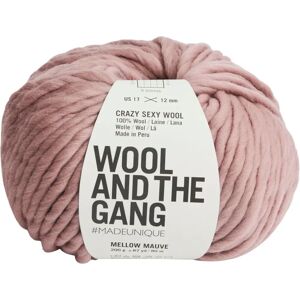 Wool and the Gang Crazy Sexy Super Chunky Yarn - Wool and the Gang Wool and the Gang Crazy Sexy Super Chunky Yarn - Wool and the Gang