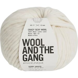 Wool and the Gang Crazy Sexy Wool Ivory White - Yarn Wool and the Gang Crazy Sexy Wool Ivory White - Yarn