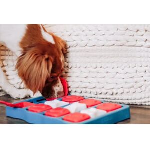 Nina Ottosson Level 2 Dog Brick Blue - Dog Puzzle Toy Nina Ottosson Level 2 Dog Brick Blue - Dog Puzzle Toy