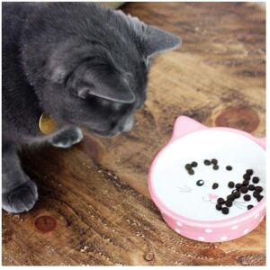 Happy Pet Polka Dot Cat Bowl - Pink and White - Cat Bowl Happy Pet Polka Dot Cat Bowl - Pink and White - Cat Bowl
