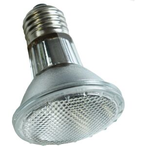 Ampoule Chauffante Infrarouge Blanche 75W Komodo - Éclairage Reptile - Publicité Ampoule Chauffante Infrarouge Blanche 75W Komodo - Éclairage Reptile - Publicité
