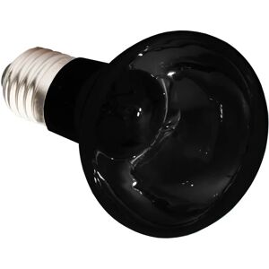 Ampoule de chauffage Moonlight Aquario Komodo 75W - Publicité Ampoule de chauffage Moonlight Aquario Komodo 75W - Publicité