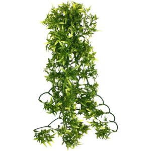 Komodo Croton Plant - Reptile Habitat Plant Komodo Croton Plant - Reptile Habitat Plant