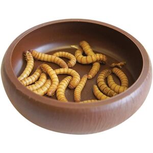 Komodo Mealworm Dish - Durable, Keeps Worms Contained, Easy to Clean Komodo Mealworm Dish - Durable, Keeps Worms Contained, Easy to Clean