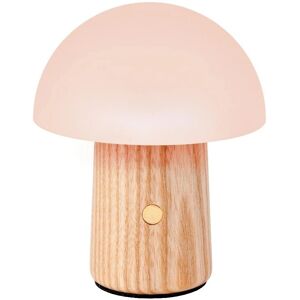 Gingko White Ash Alice Mushroom RBG Desk Lamp - Indoor Gingko White Ash Alice Mushroom RBG Desk Lamp - Indoor