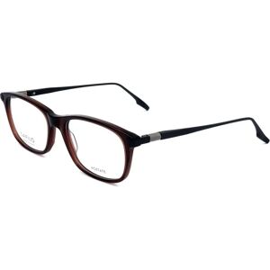 Safilo CALIBRO 04 09Q Brown - Eyewear Frames Safilo CALIBRO 04 09Q Brown - Eyewear Frames