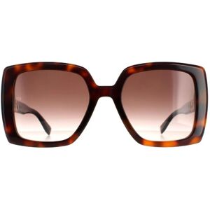 Tommy Hilfiger Square Womens Havana Brown Gradient - Sunglasses Tommy Hilfiger Square Womens Havana Brown Gradient - Sunglasses