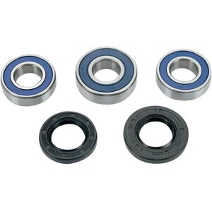 All Balls Gas Gas Rear Wheel Bearing Kit - Wheel Type All Balls Gas Gas Rear Wheel Bearing Kit - Wheel Type