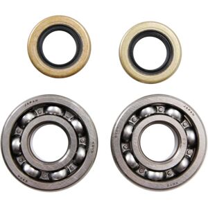 All Balls Crankshaft Bearing & Oil Seal Kit - Crankshaft Bearing & Oil Seal Kit All Balls Crankshaft Bearing & Oil Seal Kit - Crankshaft Bearing & Oil Seal Kit