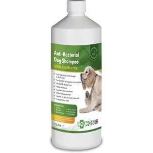 Aqueos 1L Dog Shampoo - Anti-Bacterial, Anti-Fungal & Anti-Viral Aqueos 1L Dog Shampoo - Anti-Bacterial, Anti-Fungal & Anti-Viral
