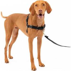 Harnais Easy Walk PetSafe Taille M - Réglable, Léger, Entraînement chien - Publicité Harnais Easy Walk PetSafe Taille M - Réglable, Léger, Entraînement chien - Publicité