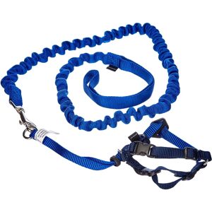 EASYWALK Dog Harness and Leash - Blue, S, Nylon, Adjustable EASYWALK Dog Harness and Leash - Blue, S, Nylon, Adjustable